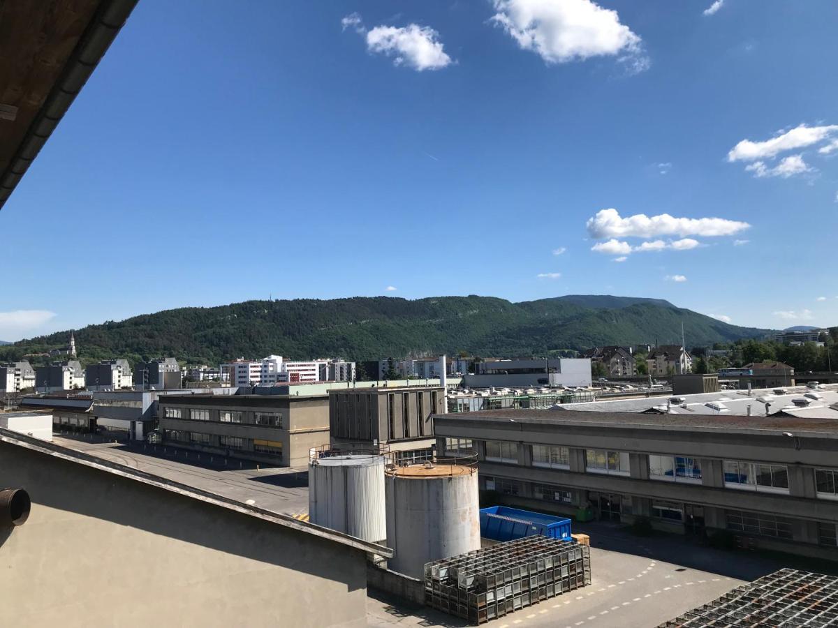 アヌシーUn Petit Bout De Reve, Balcon, Parking & Proche Centreアパートメント エクステリア 写真